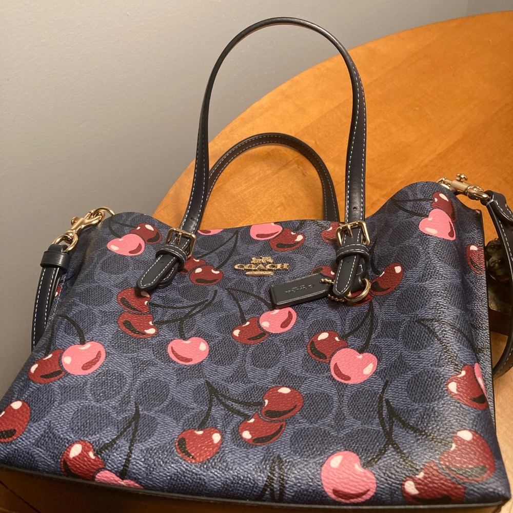 Coach Mollie Tote Bag 25 In Signature Canvas Blue With Cherry Print (CZ772) - Picture 5 of 5